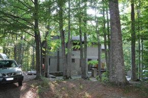 Casa nel bosco alle Macinaie